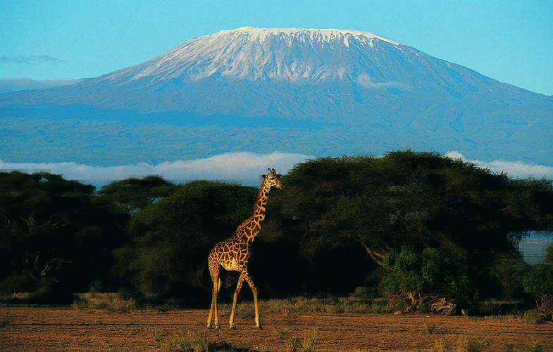 Monte Kilimanjaro - Tanzânia