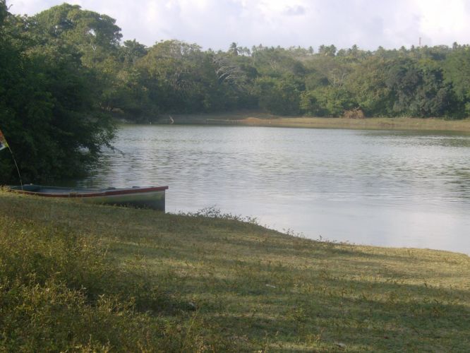 Laguna Big Pond