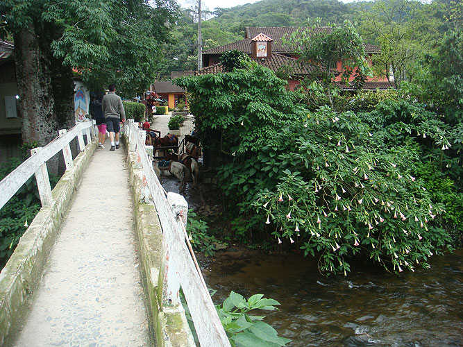 Ponte do Rio Negro