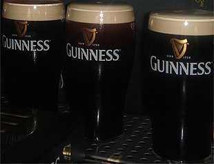 A Guinness, o "ouro negro" dos cervejeiros, fresquinha, recm-sada da fbrica