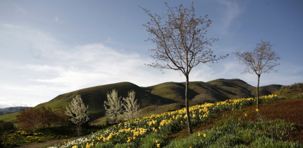 O Red Butte Garden, situado na região montanhosa acima do campus da Universidade de Utah, conta com um jardim de rosas, 5,5 quilômetros de trilhas para caminhadas e yoga matinal - Ramin Rahimian/The New York Times