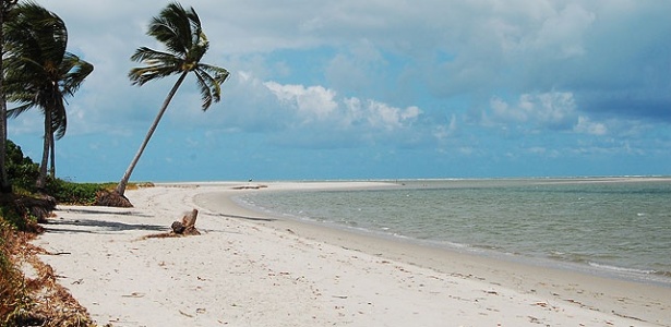 Coqueiros, areia fina e água quase transparente são características da praia da Coroa do Avião, em Pernambuco - Débora Costa e Silva/UOL