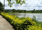 As praias do Rio São Francisco e a culinária regional são marcas registradas de Januária - Reprodução/City Brazil