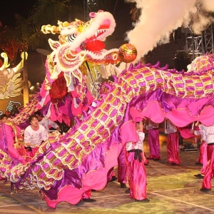Celebração pelo Ano Novo Chinês - 2012, ano do Dragão