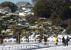 Neve cobre a capital do Japão pela primeira vez neste inverno - REUTERS/Toru Hanai