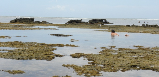 Localizada em Mata de São João (BA), a praia do Forte tem piscinas naturais na maré baixa - Arquivo pessoal